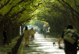 Surrounding environment. Meiji Jingu Gaien (about 1510m / Walk 19 minutes / Bicycle about 8 minutes)