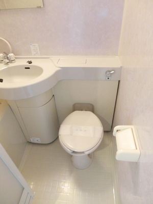 Toilet. Lavatories