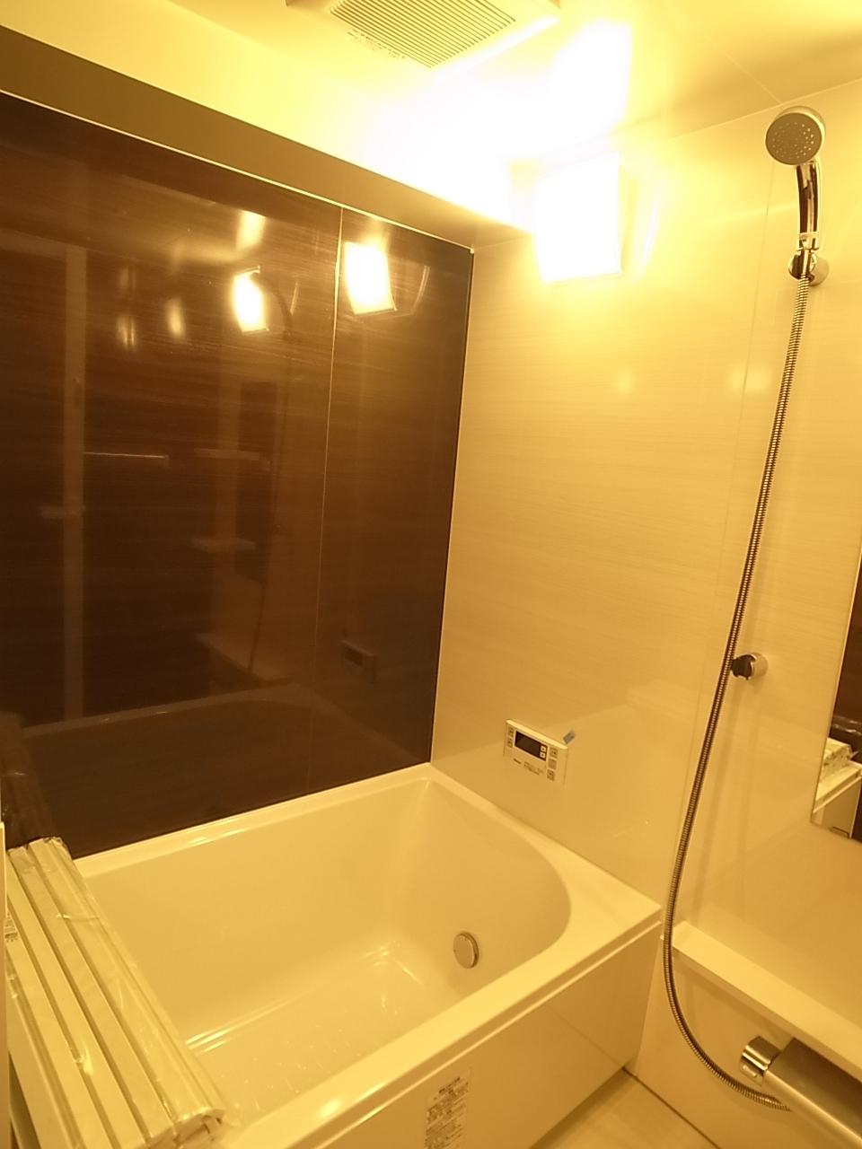 Bathroom. Indoor (11 May 2013) Shooting