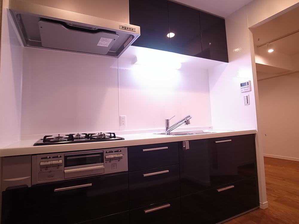 Kitchen. Indoor (11 May 2013) Shooting