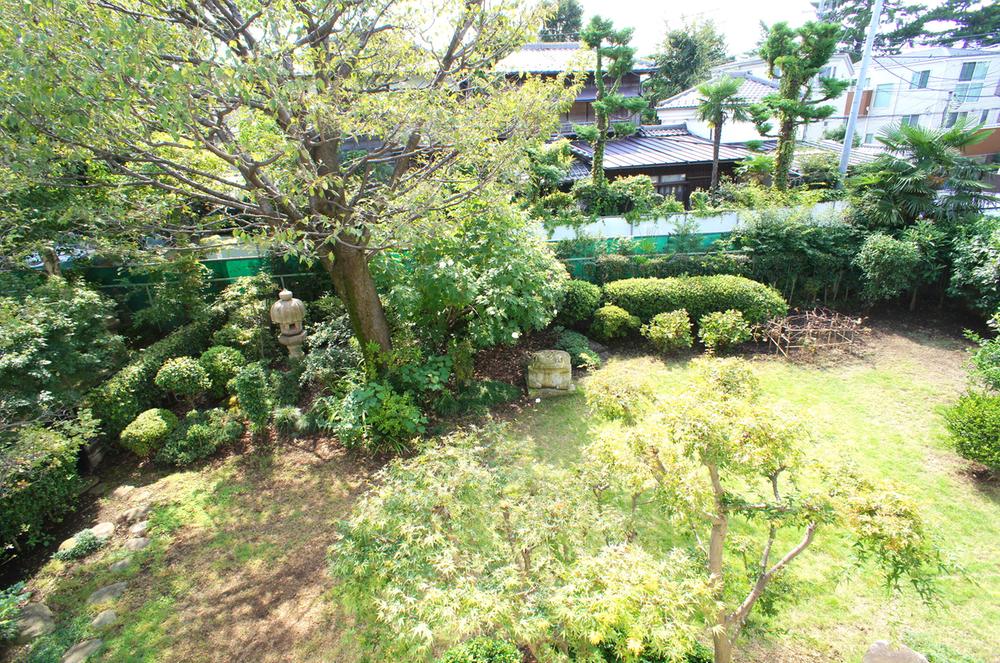 Garden. Local (10 May 2013) Shooting Southwest side garden. Spring because there is a cherry tree can blossom viewing in the garden.