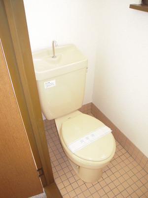 Toilet. Toilet