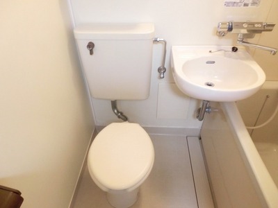 Toilet. Toilet