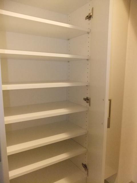 Entrance. Shoe box