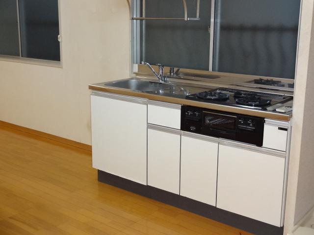Kitchen. Local (10 May 2013) Shooting