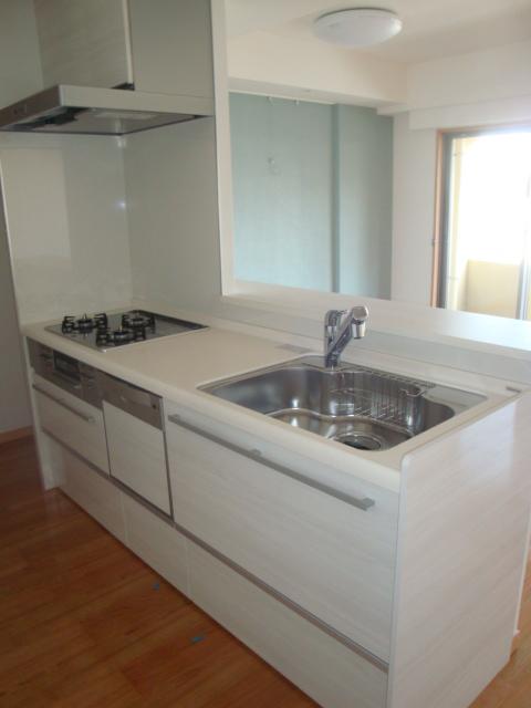 Kitchen. Indoor (10 May 2013) Shooting