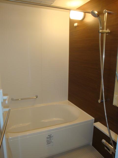 Bathroom. Indoor (10 May 2013) Shooting