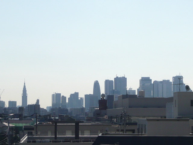 View. Shinjuku high-rise building