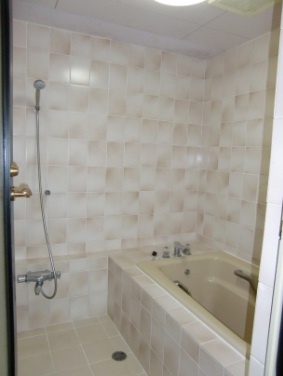 Bath. Bathroom