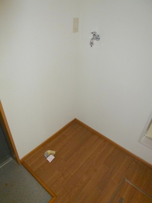 Other. ☆ Washing machine in the room