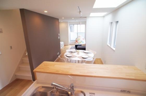 Living. Indoor (September 2013) Shooting