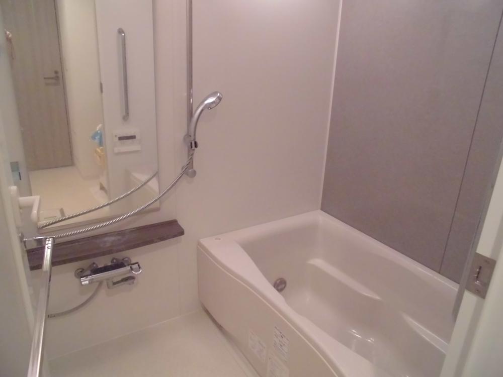Bathroom. Indoor (11 May 2013) Shooting