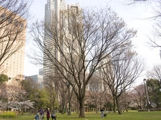 park. 800m to Shinjuku Chuo Park