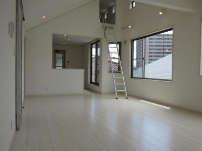 Living. Indoor (July 2013) Shooting