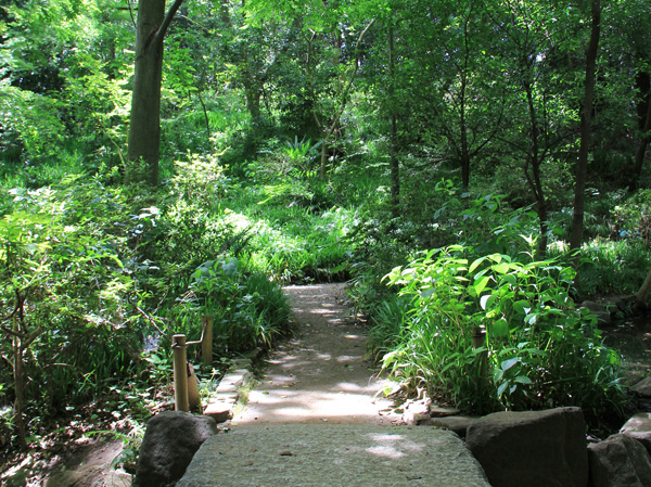 Surrounding environment. Virgin Mountain Park (11 minutes' walk / About 820m)