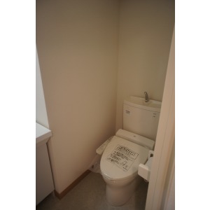 Toilet. The room is a picture of the same type. 