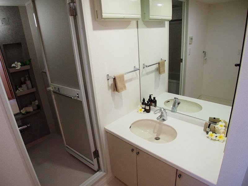 Wash basin, toilet. Indoor (12 May 2013) Shooting
