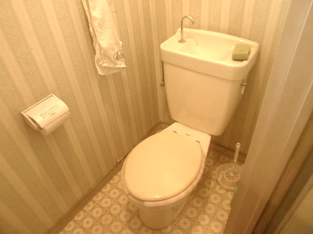 Toilet