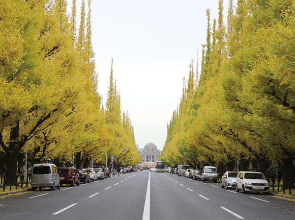 Surrounding environment. Gaienmae ginkgo row of trees (about 420m ・ 6-minute walk)