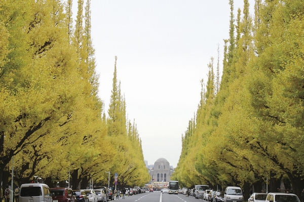 Gaienmae ginkgo row of trees (about 420m ・ 6-minute walk)