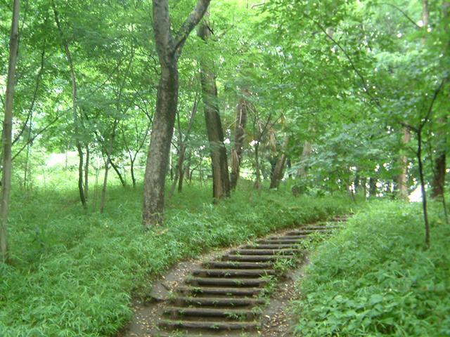 park. 550m to Toyama Park
