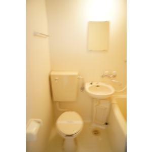 Toilet. The room is a picture of the same type.