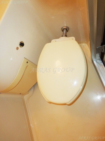 Toilet. Toilet