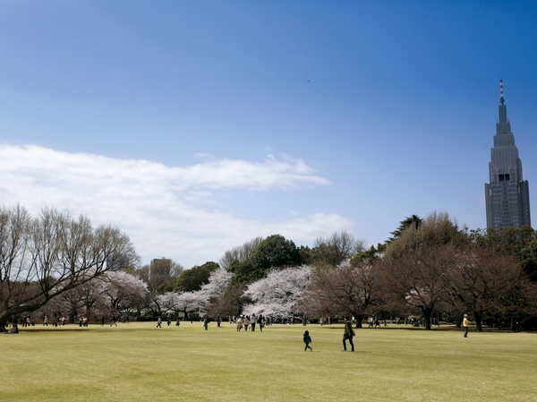 Shinjuku Gyoen (13 mins / About 1000m)