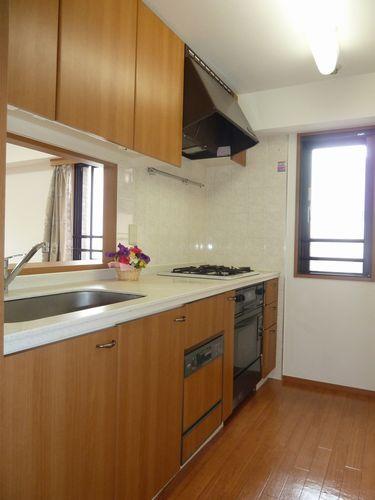 Other introspection. Kitchen