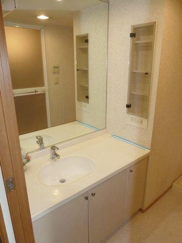 Wash basin, toilet. Bathroom vanity