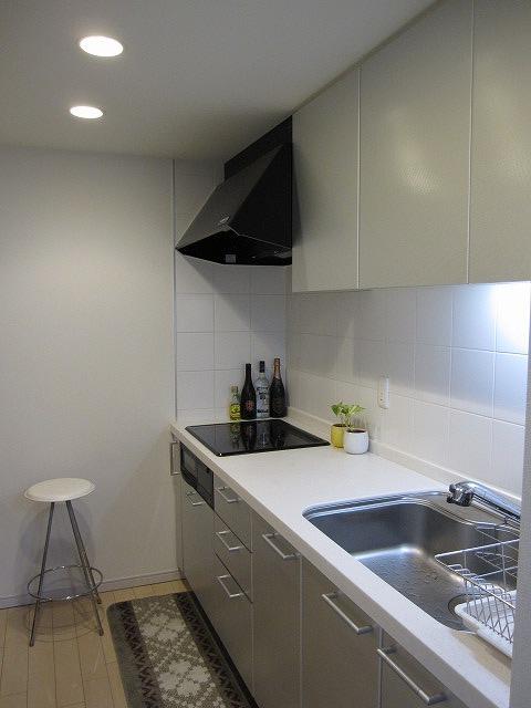 Kitchen. Indoor (11 May 2013) Shooting