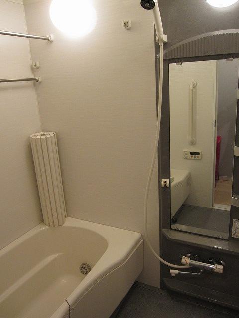 Bathroom. Indoor (11 May 2013) Shooting