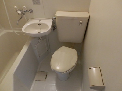 Toilet. Lavatories