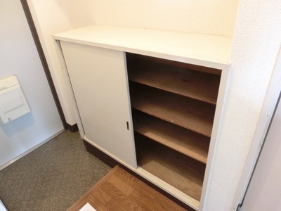 Entrance. Shoe box