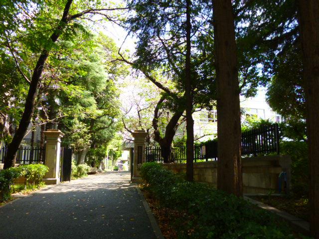 Junior high school. 477m to Bunkyo Ward third junior high school
