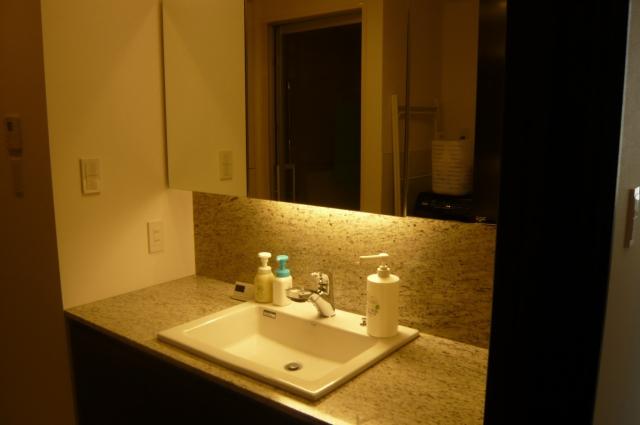 Non-living room. Washroom