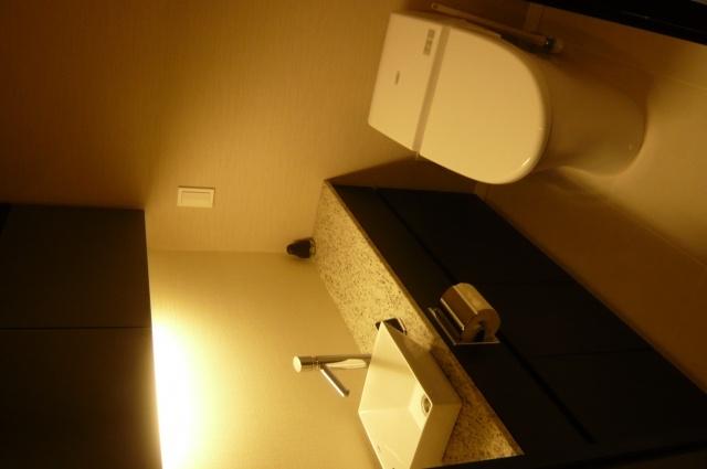 Toilet. With hand washing counter