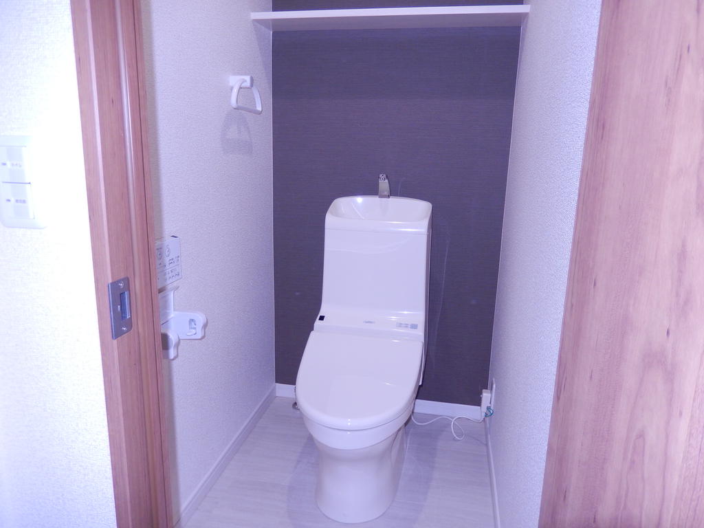 Toilet. Washlet