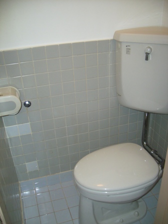 Toilet. Toilet