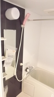 Bath. Bathroom