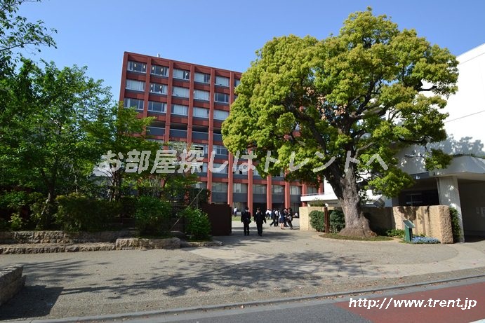 high school ・ College. Haicheng Gakuen Haicheng High School (High School ・ NCT) to 2023m
