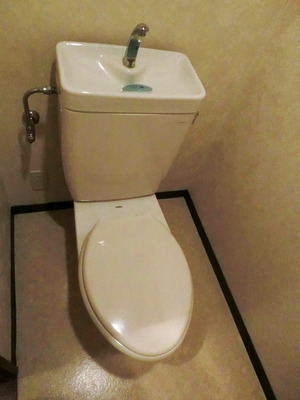 Toilet. Spacious toilet