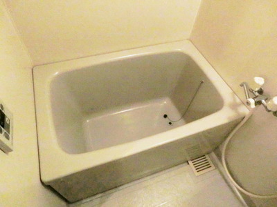 Bath. Clean bathtub