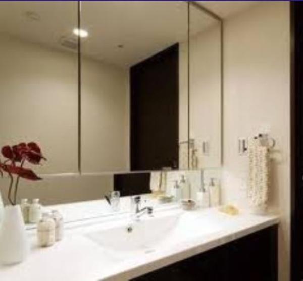 Wash basin, toilet. Another dwelling unit photo