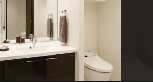 Toilet. Another dwelling unit photo