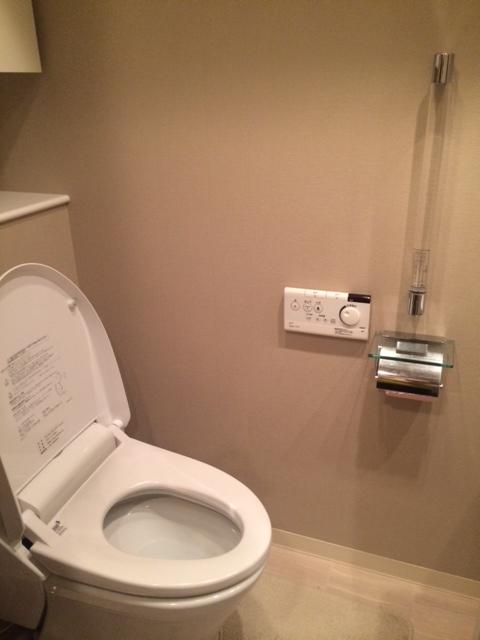 Toilet. Indoor (12 May 2013) Shooting