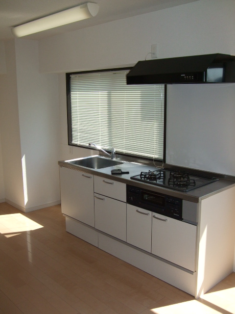 Kitchen. Kitchen