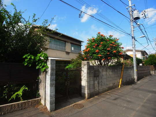 Local land photo