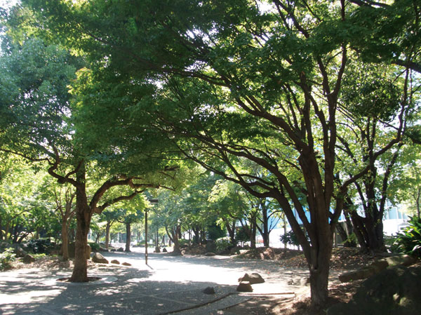 Surrounding environment.  [Meiji Park] It has been established at the time of the Tokyo Olympic Games, Tokyo metropolitan area of ​​sports Mecca ・ This park is surrounded by woods of Jingu. Pleasure Mel four seasons of the garden and events plaza a taste of the season is equipped. (8-minute walk ・ About 570m)