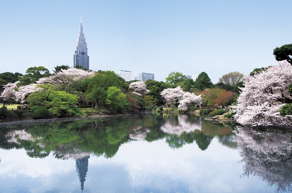 3-minute walk from Shinjuku Gyoen (main gate ・ About 220m. Walk to Okido Gate 7 minutes ・ About 550m) / About 58 Man 3000 sq m . Next to Kokyogaien, It boasts the second breadth above the Ueno Park and Yoyogi Park.